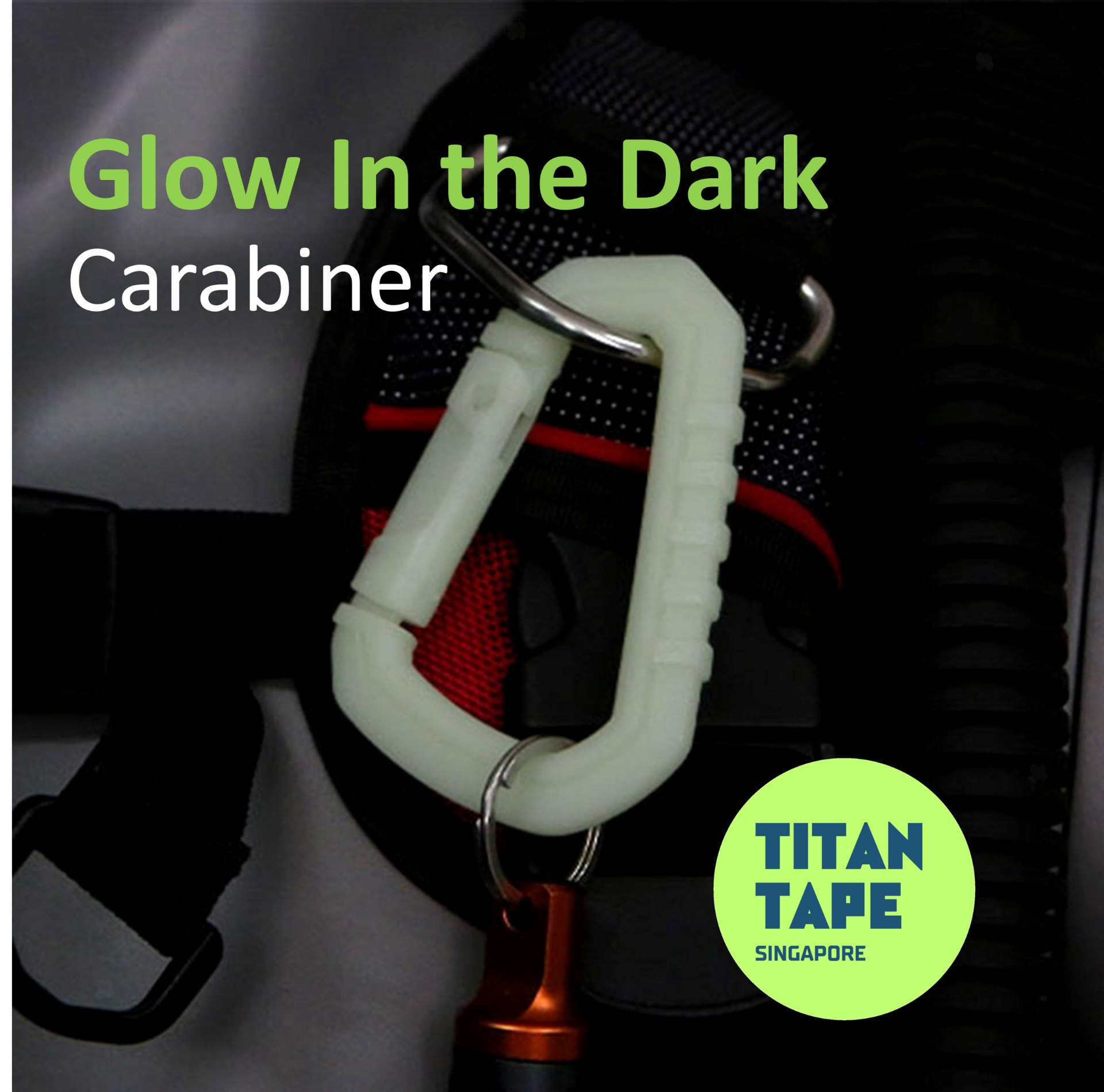 Glow in the Dark Carabiner